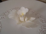 Artists, bouncy slides and gumpaste flowers....